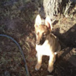 Meet your Posher, Greg